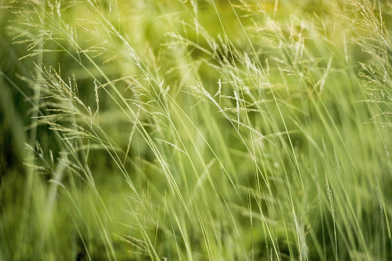 découvrez les enjeux et les stratégies de la gouvernance environnementale, une approche essentielle pour maintenir l'équilibre écologique et promouvoir un développement durable. explorez les politiques, les acteurs et les initiatives qui façonnent notre avenir face aux défis environnementaux.